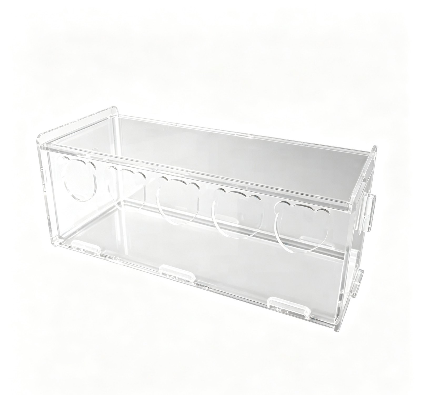 Acrylic Button Quail Feed Box (Large)