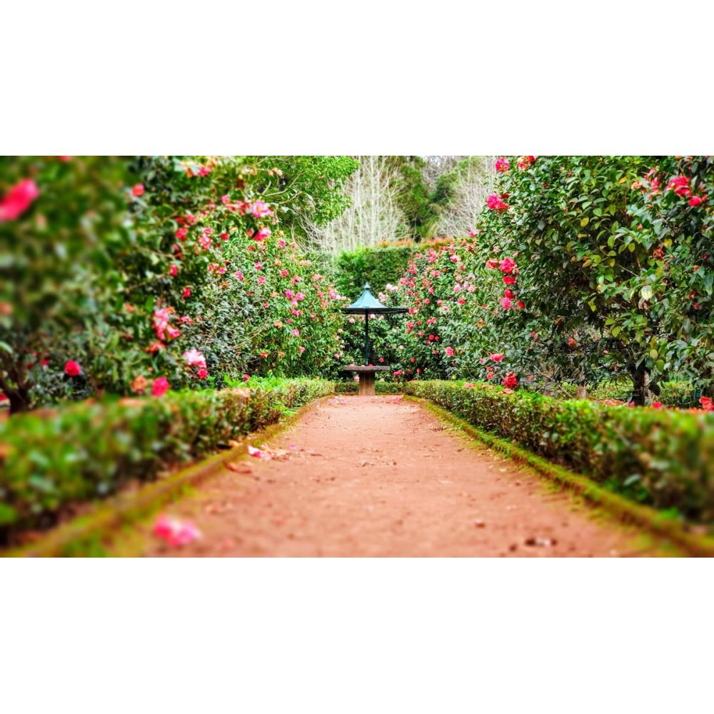Artificial boxwood hedge screening panel