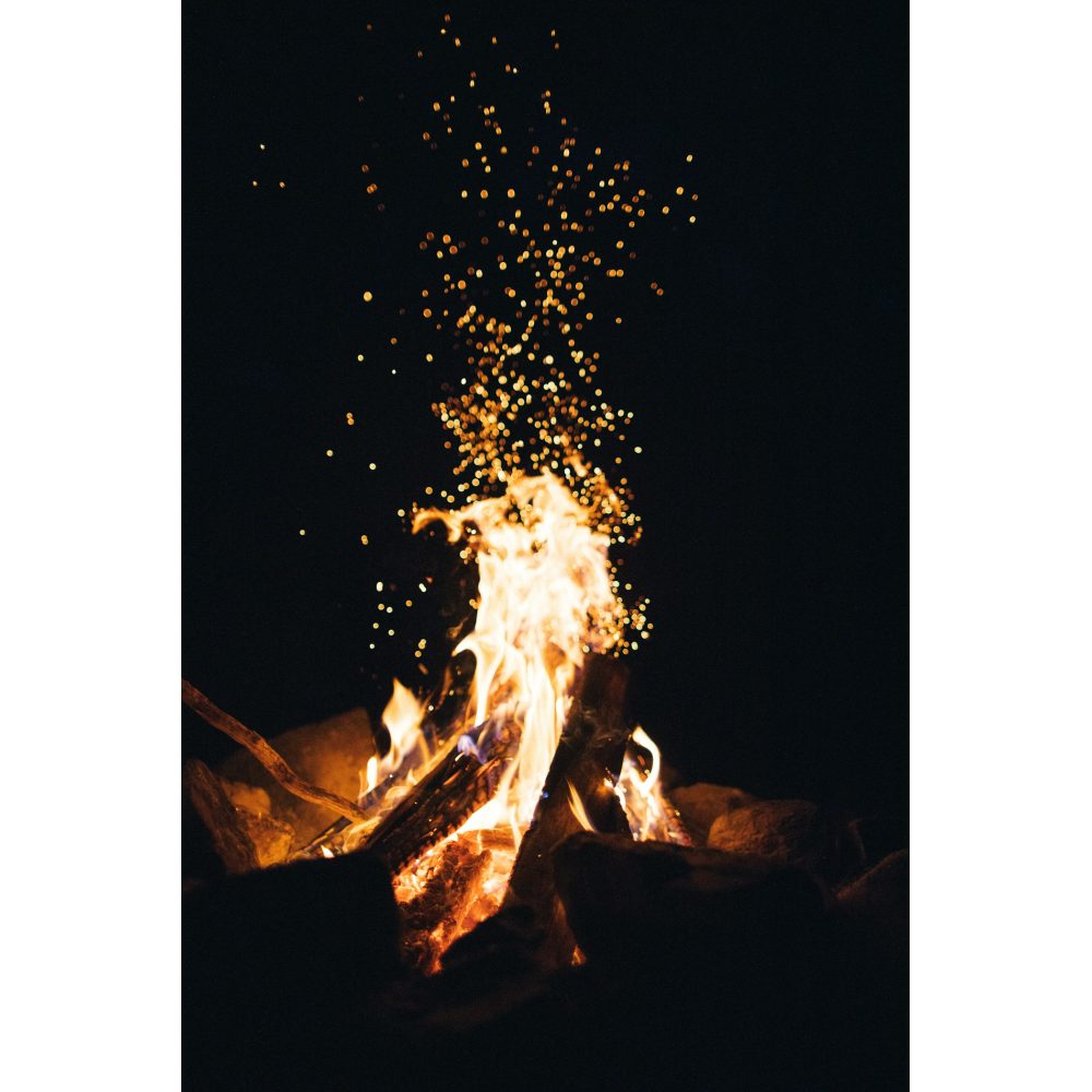 Steel fire ring at a campsite